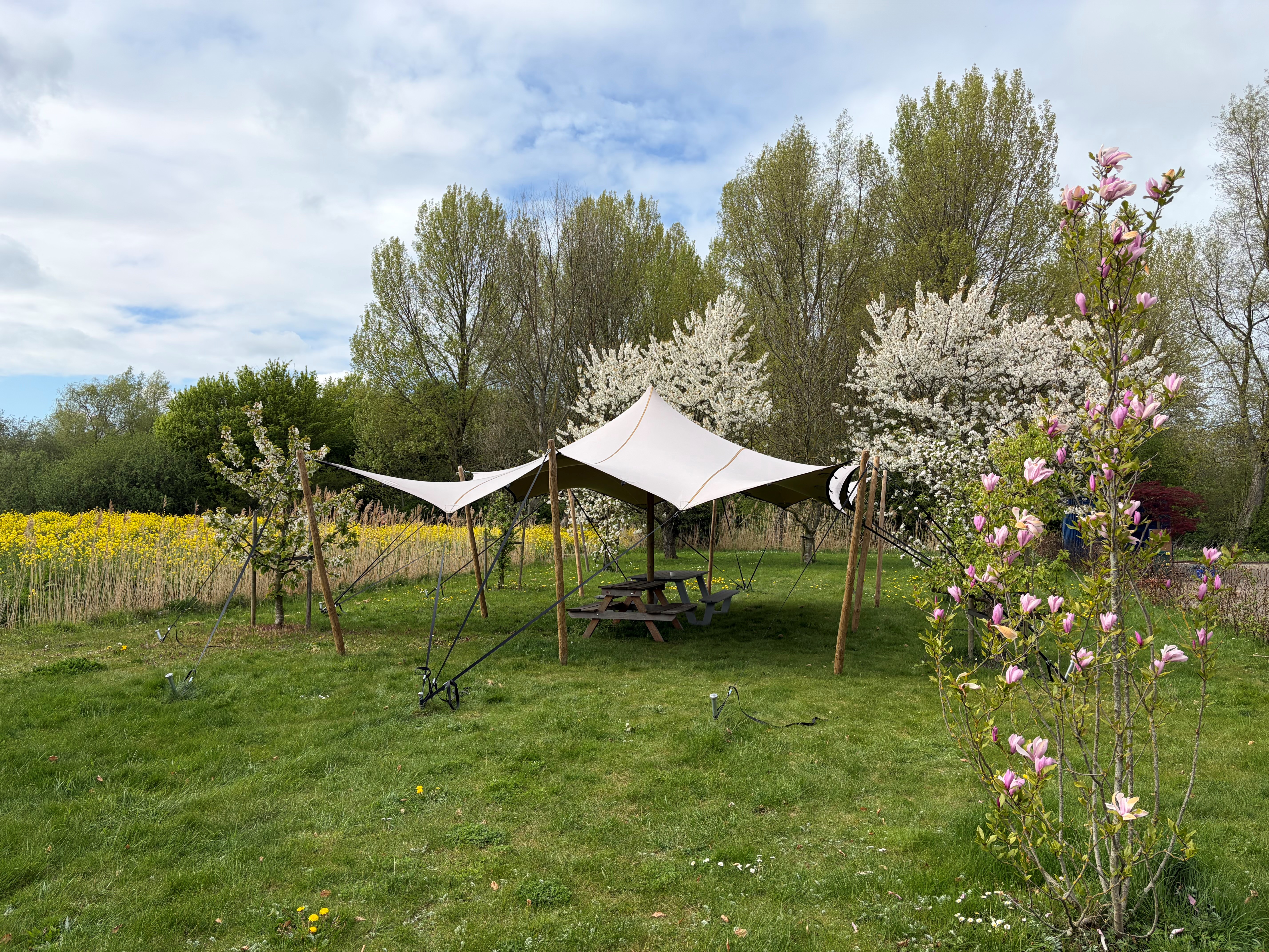 De boomgaard met magnolia bij Meet at Balij