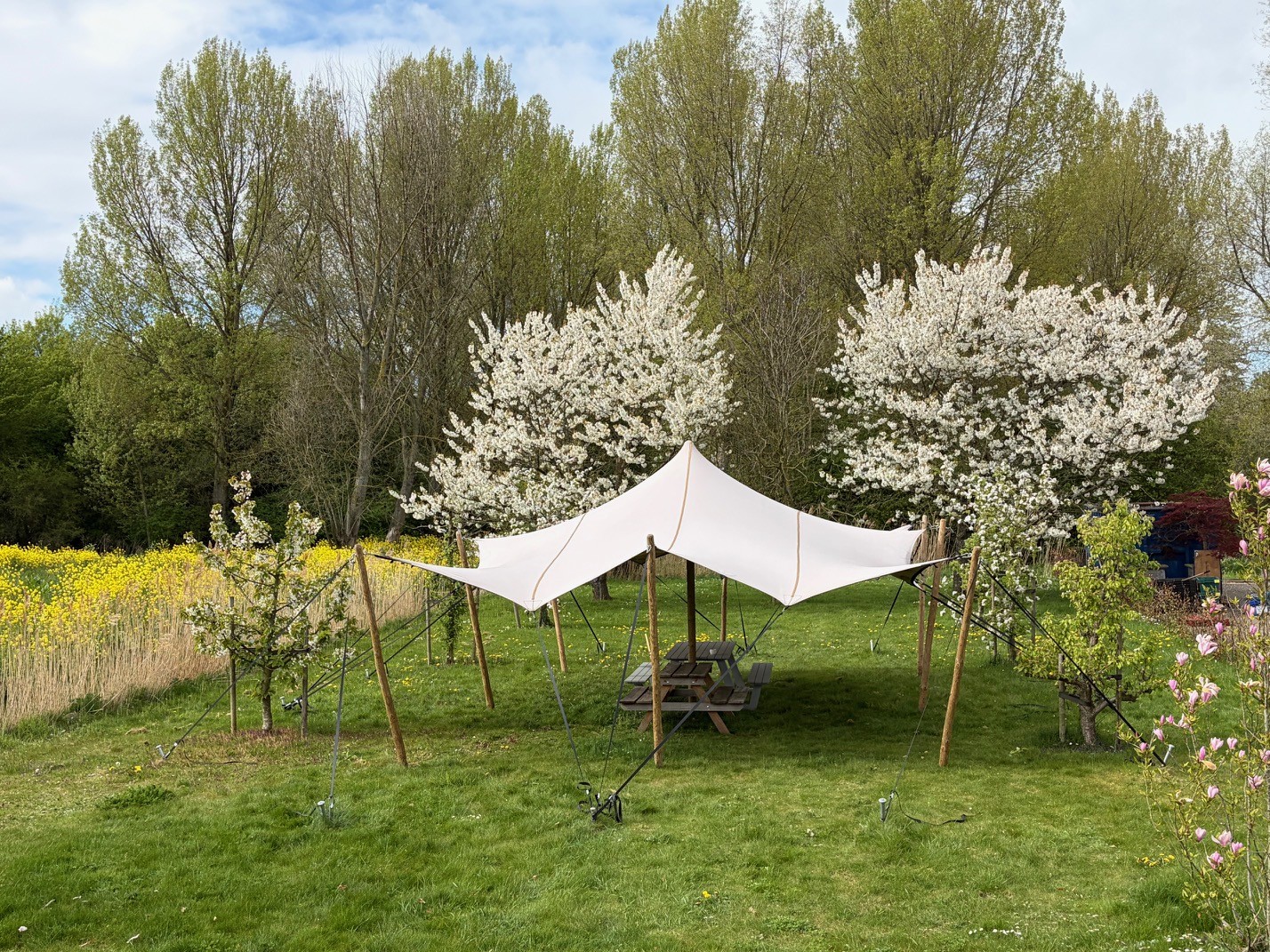 Vergaderen onder de tent tussen de bloesembomen bij Meet at Balij